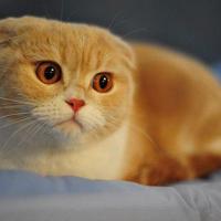 老师引进门读后感汇聚