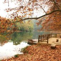 夏天的魅力读后感300字集合