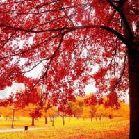 寒门贵子观后感两百字集锦