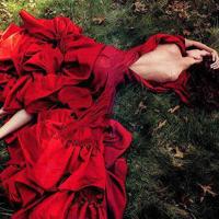 山海经小学生读后感400汇聚