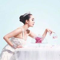 舞蹈银蝴蝶观后感整理