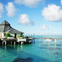 毕业生存指南观后感汇总