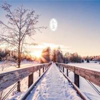 我的天才女朋友观后感汇合