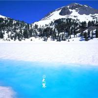 拥抱父亲读后感400字精练