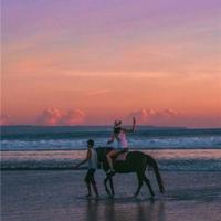 亲爱的爱丽丝亲子读后感总汇