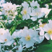 人间世第二季第8集观后感汇编