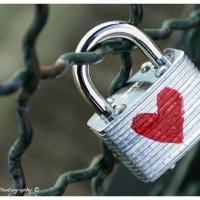 螺丝钉在拧紧英文读后感摘录