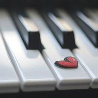 我想让你自由的长大读后感精练