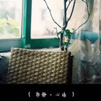 贾平凹风雨读后感400汇编