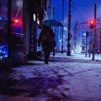 有趣的小熊读后感合集