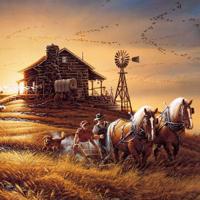 海啸奇迹观后感英文整理