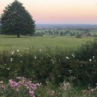 校园欺凌读后感1000精选