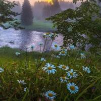 读完诸葛亮这本书的读后感细选