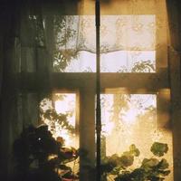 文明礼仪观后感自己写选录