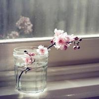 动漫电影观后感500锦集