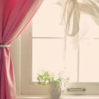 向日葵观后感500字集锦