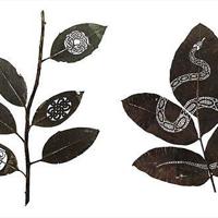 人间世观后感800字锦集