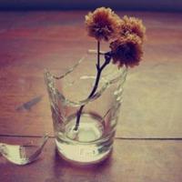 公交车遇到小偷的观后感总汇