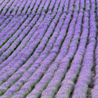 唐诗之旅宋词之旅读后感精选