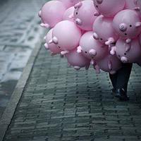 日本电影人参果实观后感汇合