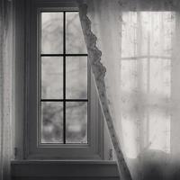 衬衣领子读后感500字汇合