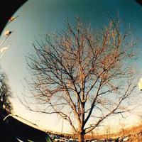 《七步诗》读后感精选