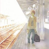 草房子白雀一读后感20字总汇