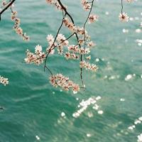 魅力国学观后感450字总汇