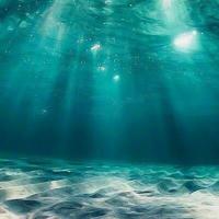 大学第一课观后感350字合计