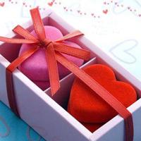 两弹元勋读后感300总汇