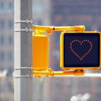 我们分到了土地读后感合集