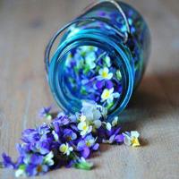 《防踩踏事故》观后感汇集