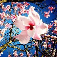 进化的历史观后感汇总