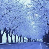 河北农村民俗园观后感汇总