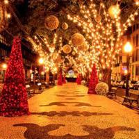 最美的乡村医生观后感收集