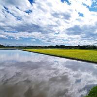 看完七一节目观后感精选