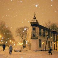 索菲的抉择观后感汇编