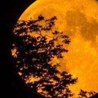 洗脚的观后感300锦集