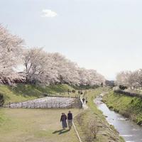 同窗朋友观后感100字聚集