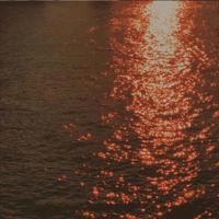 新四军的发展读后感合集