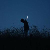 暑假特别节目观后感汇聚