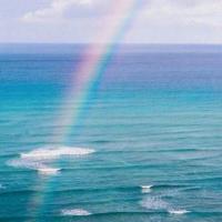 防止校园欺凌的观后感小学收集