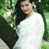 天空上的菊美观后感集合