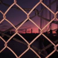 宝贝猪读后感450汇集