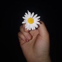 恶魔的王子读后感50字汇编