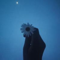 新学生守则读后感收集