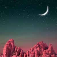 大树和小鸟对话读后感合计