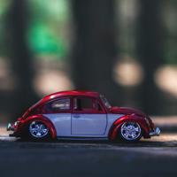 离太阳太阳最近的树读后感集锦