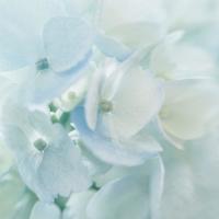 我对妈妈的情感变化观后感锦集