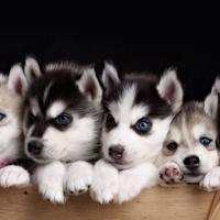 记录片诞生地观后感总汇